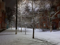 Снежная ночь