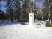 Памятник Гагарину в городском парке