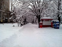 Итоги снегопада на Петровском